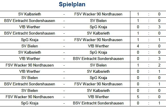 Bild: Endstand Kreismeisterschaft im Hallenfu&szlig;ball der Junioren (3)
