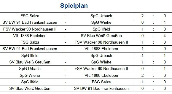 Bild: Endstand Kreismeisterschaft im Hallenfu&szlig;ball der Junioren (4)