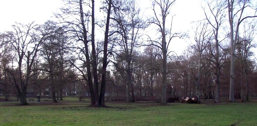Bild: Stadtpark