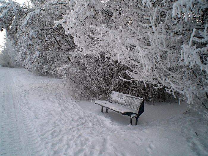 Bild: Winter in Artern