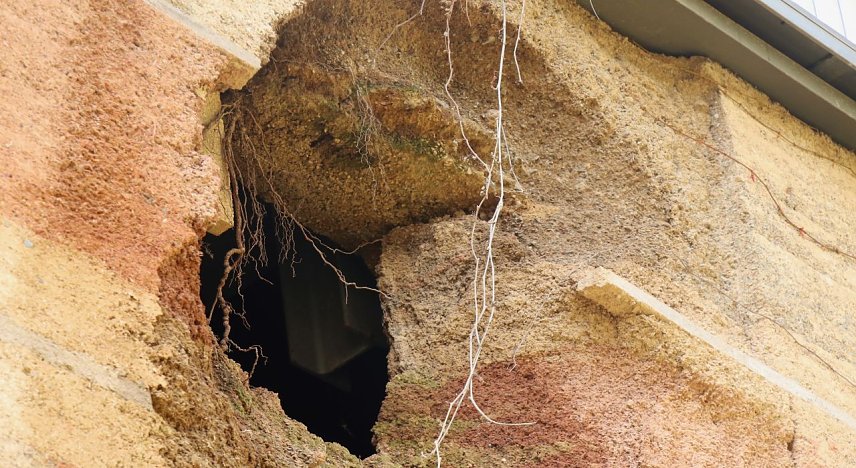 Bild: Schaden an der Lesserstiege