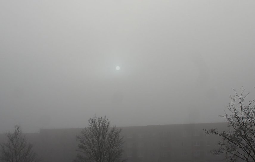 Bild: Nebel