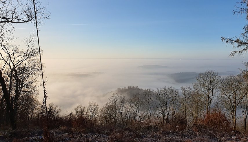 Bild: Wetterfahne