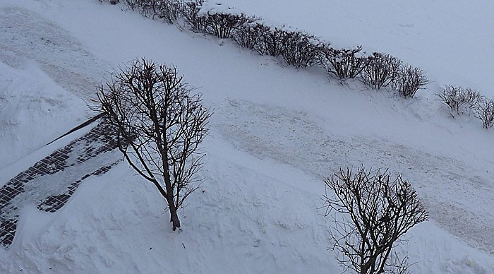 Bild: Schneeverwehungen