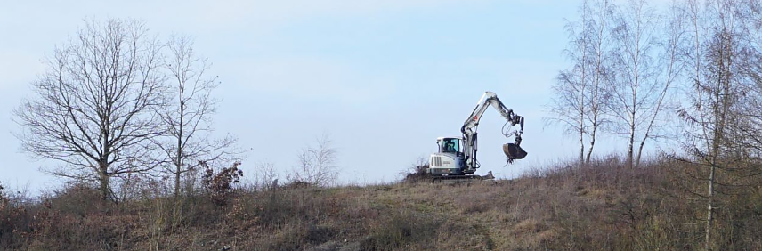 Bild: Bagger auf dem M&uuml;hlberg in Niedersachswerfen