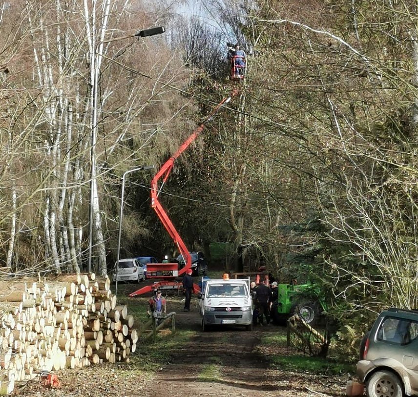 Bild: F&auml;llarbeiten im Obertopfstedter W&auml;ldchen so gut wie abgeschlossen