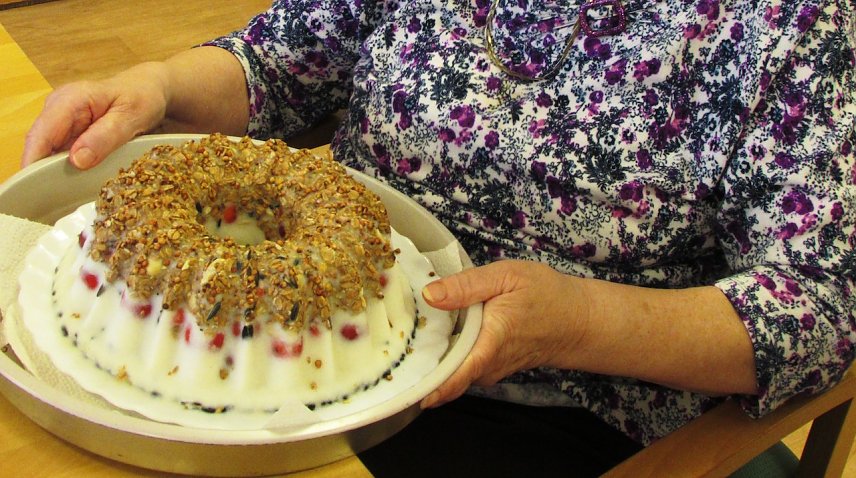 Bild: vogelkuchen