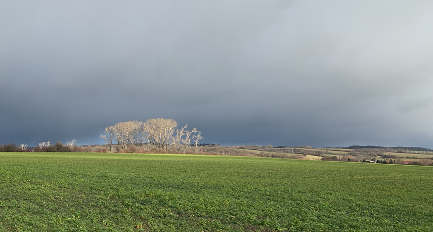 Bild: Wetterbild