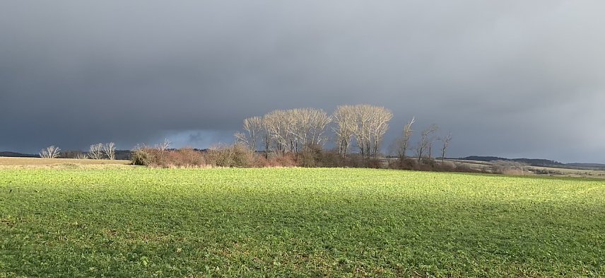 Bild: wetter