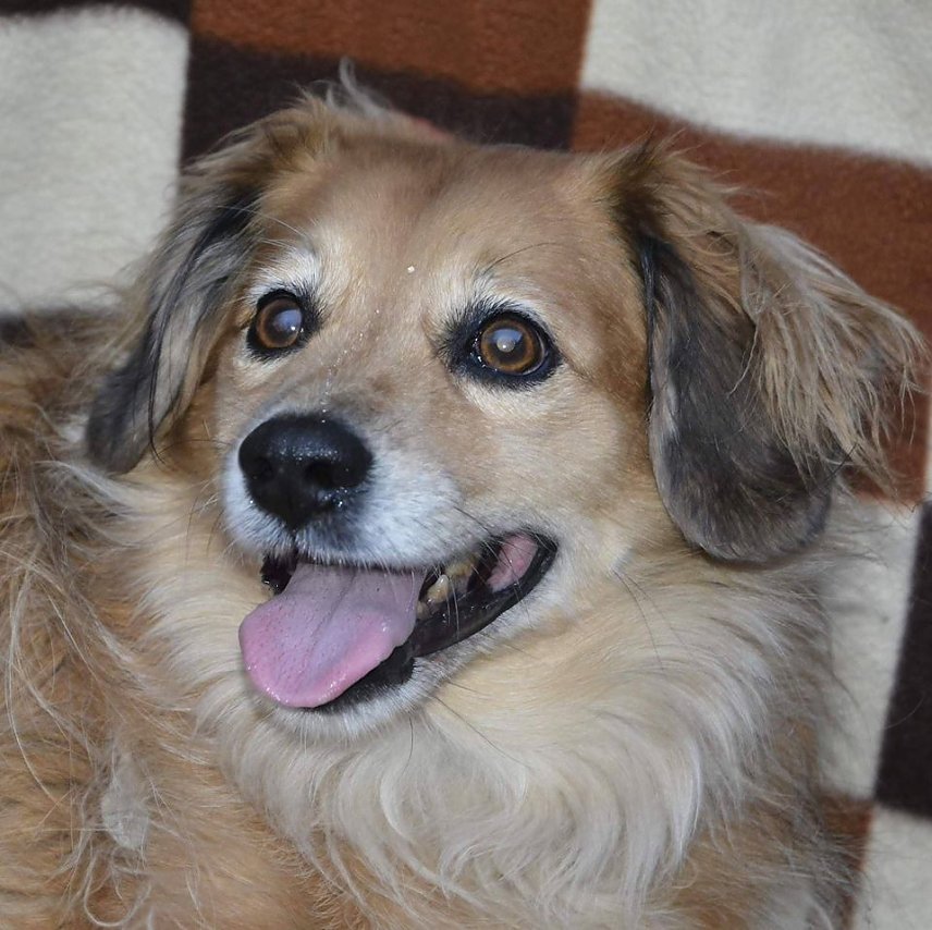 Bild: Tier der Woche: Karli