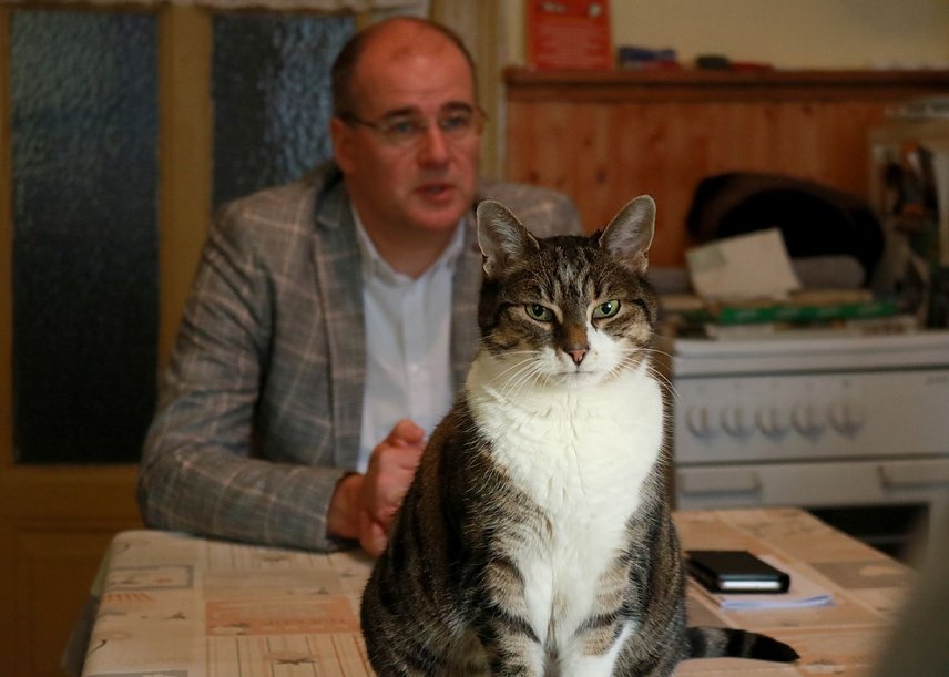Bild: Landrat Matthias Jendricke zu Besuch im "Katzenhaus"
