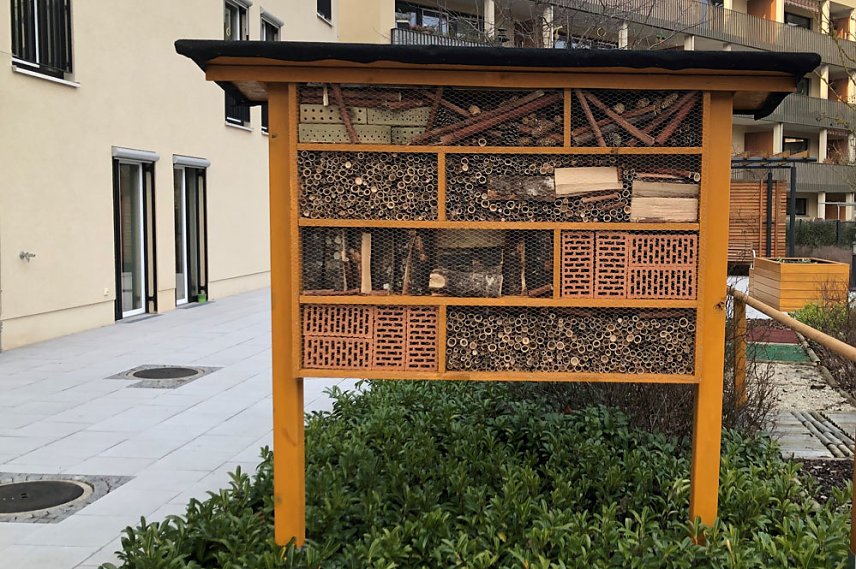 Bild: Insektenhotel gebaut
