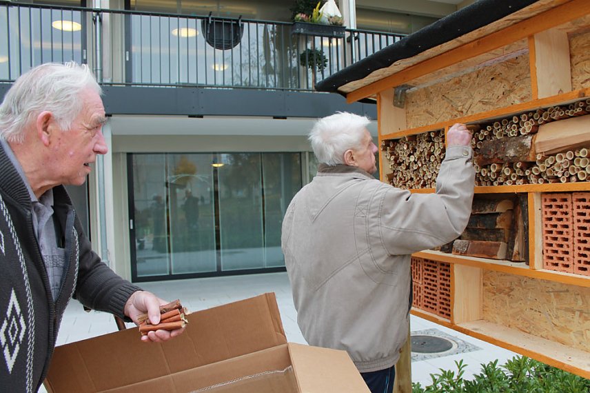 Bild: Insektenhotel gebaut