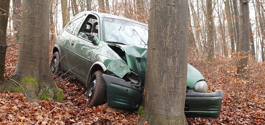 Bild: auto im Wald