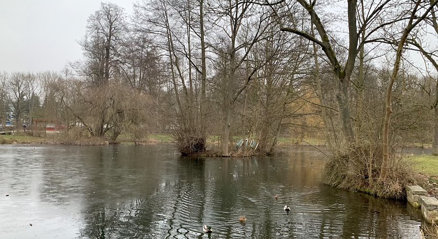 Bild: wetter