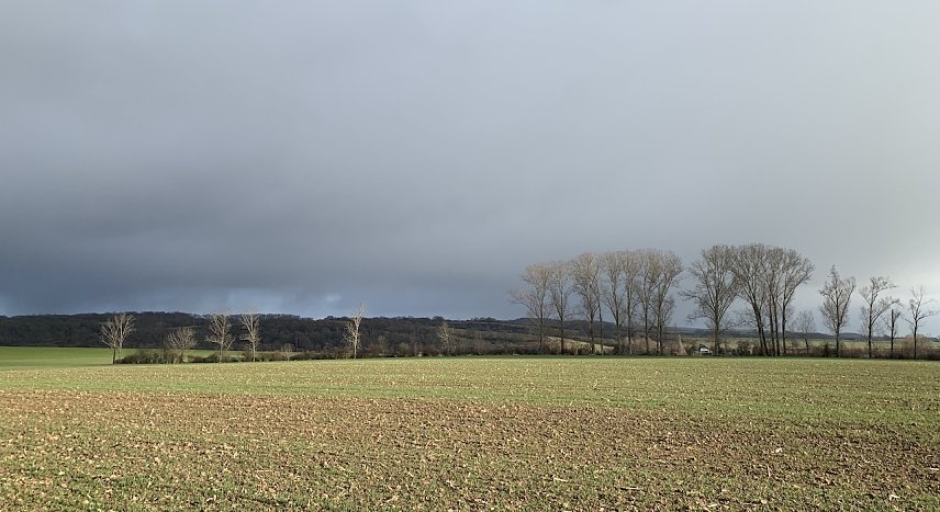 Bild: wetter
