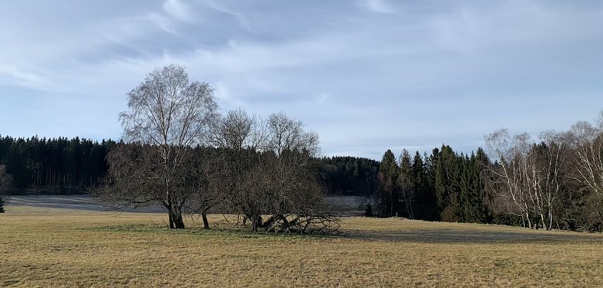 Bild: wetter
