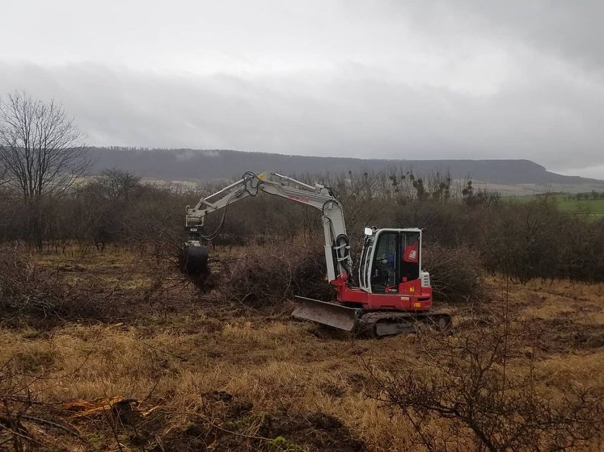 Bild: Natura 2000-Station erh&auml;lt wertvolle Lebensr&auml;ume