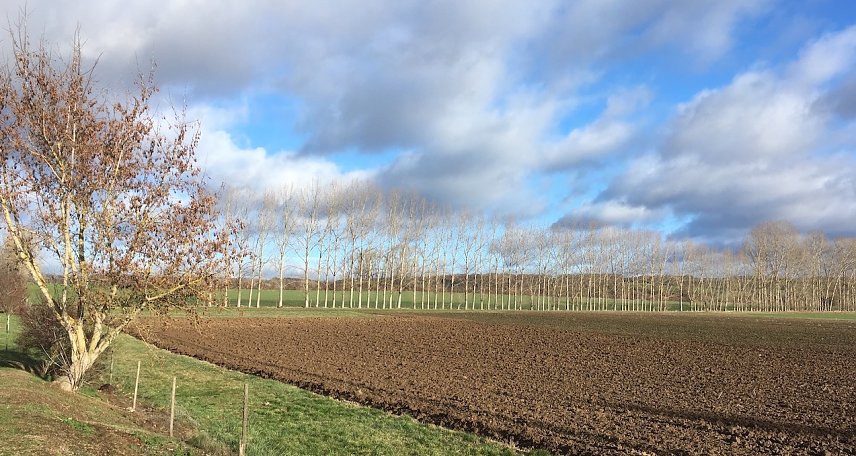 Bild: wetter