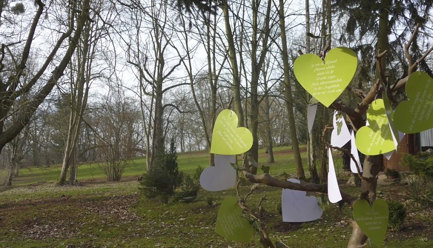 Bild: hohenrode