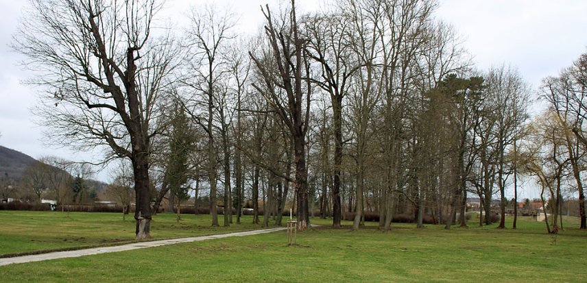 Bild: Sanierungskonzept f&uuml;r Schlosspark n&ouml;tig?