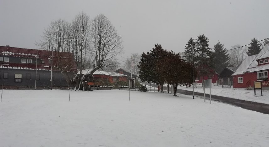 Bild: Schnee in Sophienhof