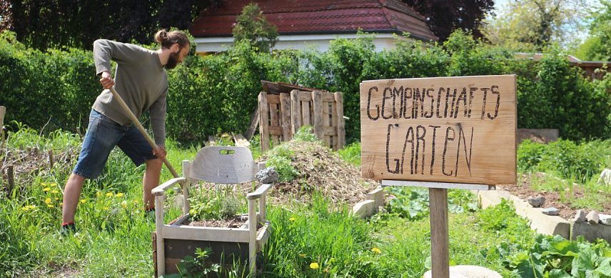 Bild: Arbeit im Gemeinschaftsgarten 2019