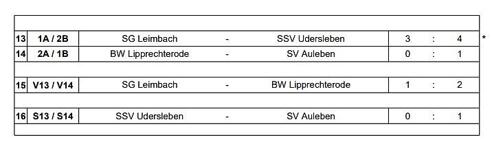 Bild: SV National Auleben Hallenkreismeister