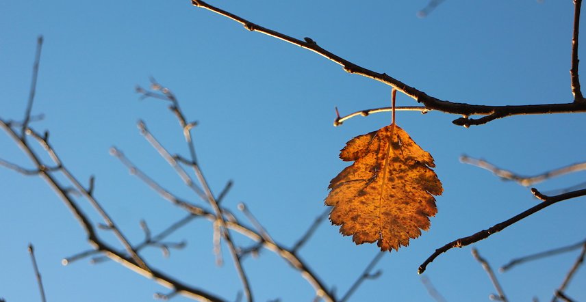 Bild: wetter