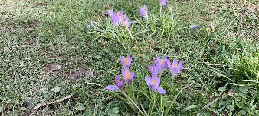 Bild: wetter