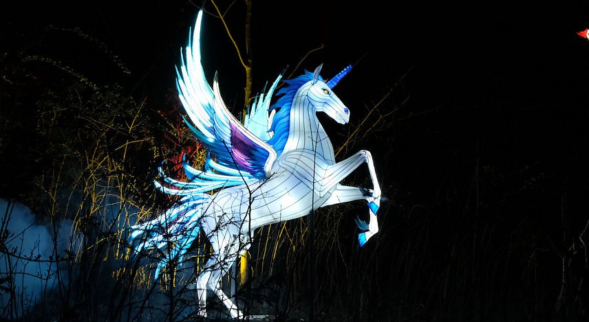 Bild: Lichterwelten 
