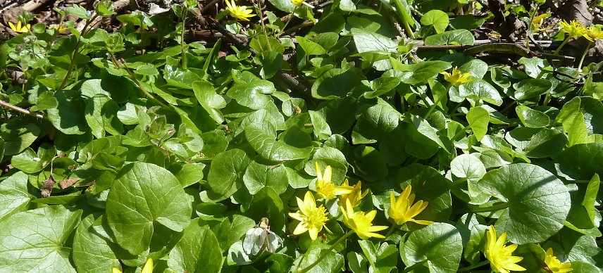 Bild: Wanderung
