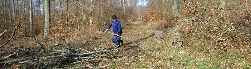 Bild: Neues vom 30. Possenlauf 2020
