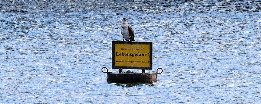 Bild: Kiesschacht