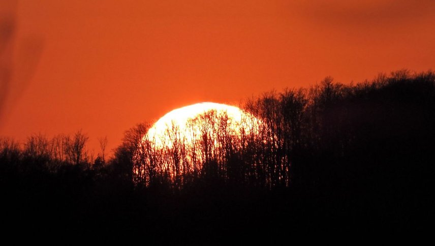 Bild: Sonnenuntergang
