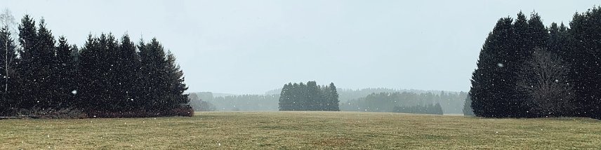 Bild: wetter