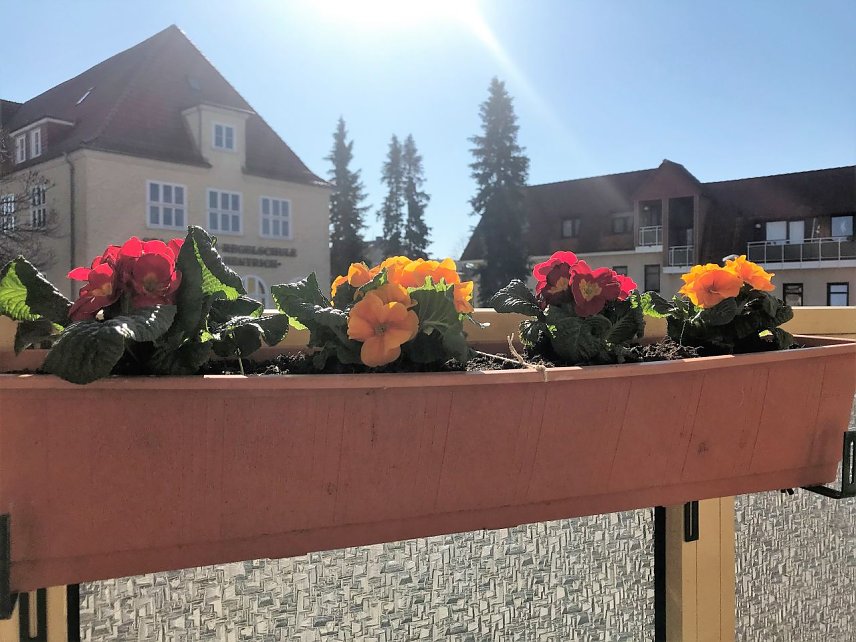 Bild: vom Balkon