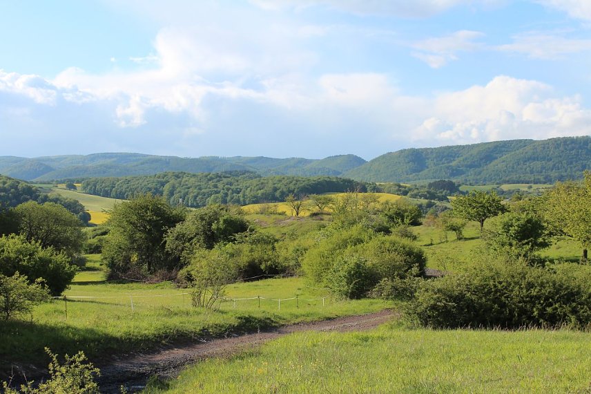 Bild: Karstlandschaft am s&uuml;dlichen Harzrand