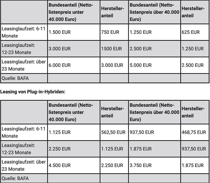 Bild: Leasing von Batterieelektro- oder Brennstoffzellenfahrzeugen