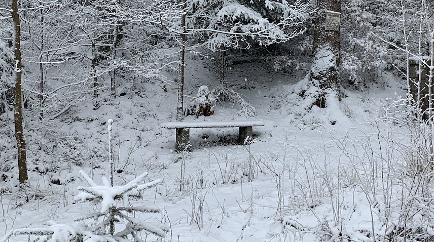 Bild: Winteridyll bei Benneckenstein