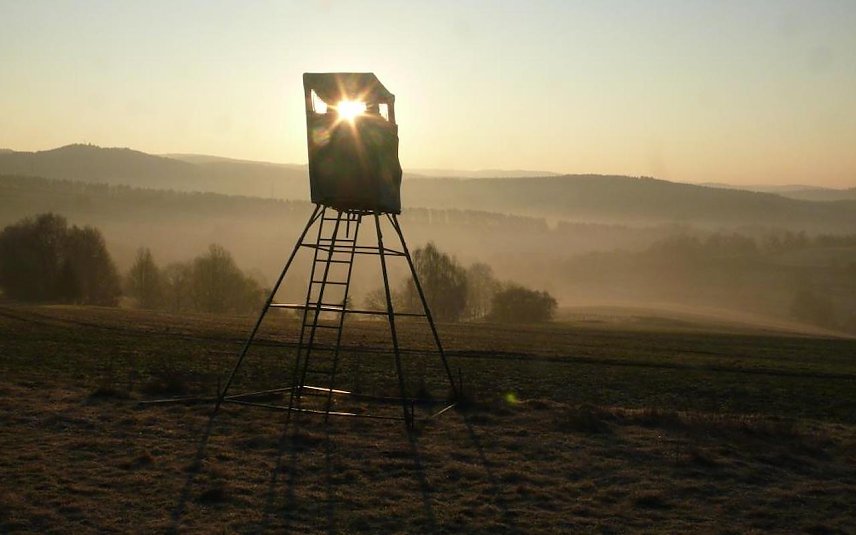 Bild: Jagdkanzel Hochsitz