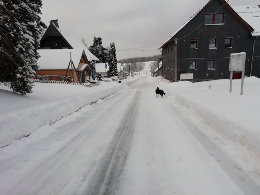 Bild: In Sophienhof r&uuml;ckte man dem Schnee gestern mit der Fr&auml;se zu Leibe