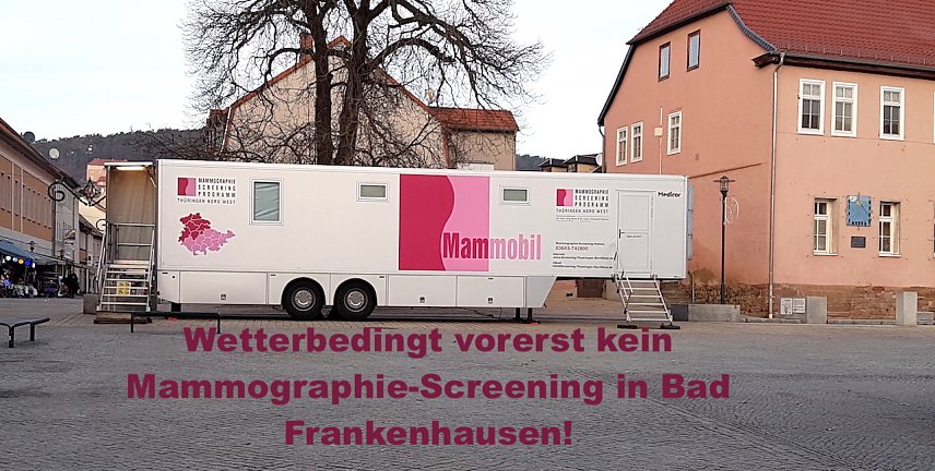 Bild: Mammobil 