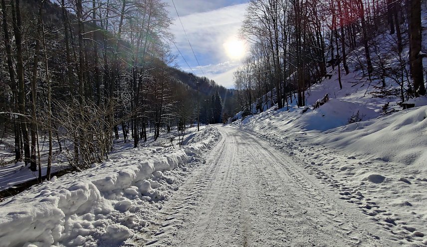 Bild: Im Brandesbachtal
