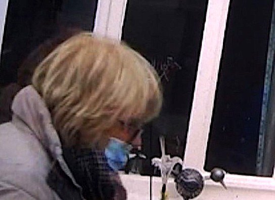 Bild: Gesuchte Frau