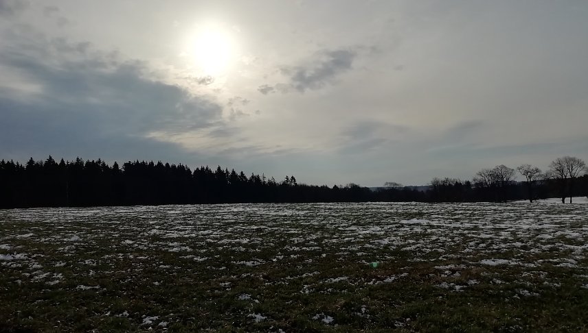 Bild: Selbst in Sophienhof ist der Winter jetzt auf dem R&uuml;ckzug
