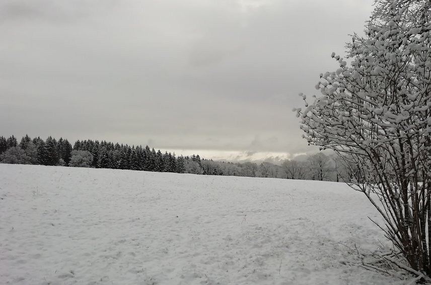 Bild: Unser letztes Winterbild - versprochen! Oberharzer Landschaft heute morgen