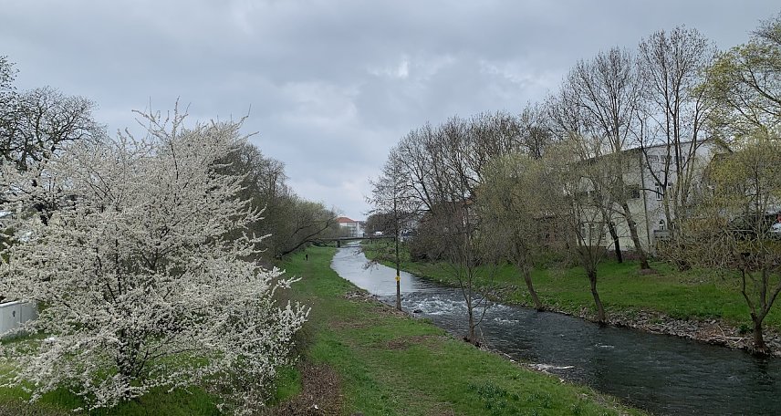 Bild: Zorgeufer in Nordhausen
