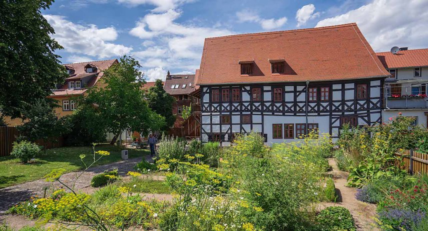 Bild: Der Apothekergarten am Apothekenmusem im Haus Rosenthal � der perfekte Platz f&uuml;r ein Insektenhotel