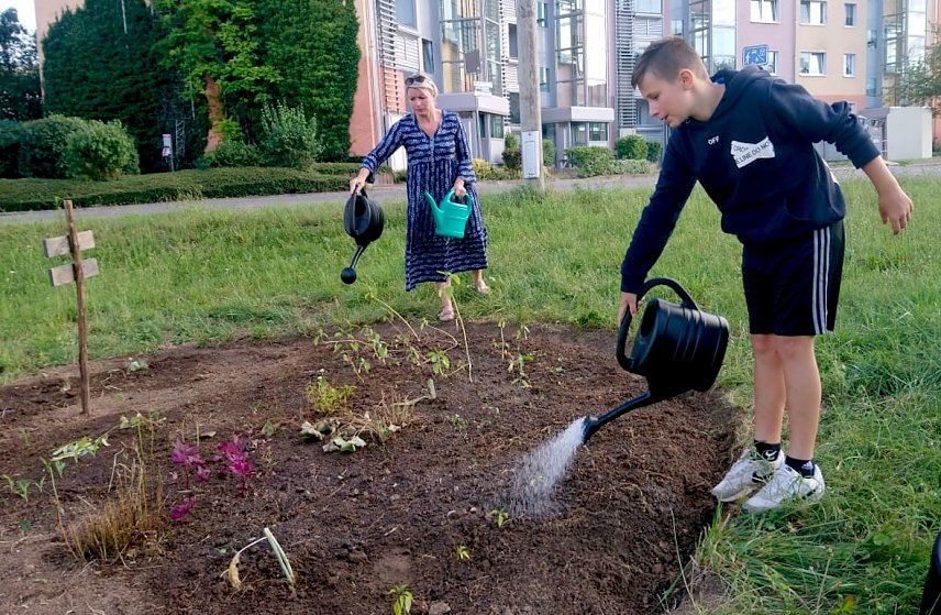 Bild: Essbare Stadt-Projekt in Sondershausen